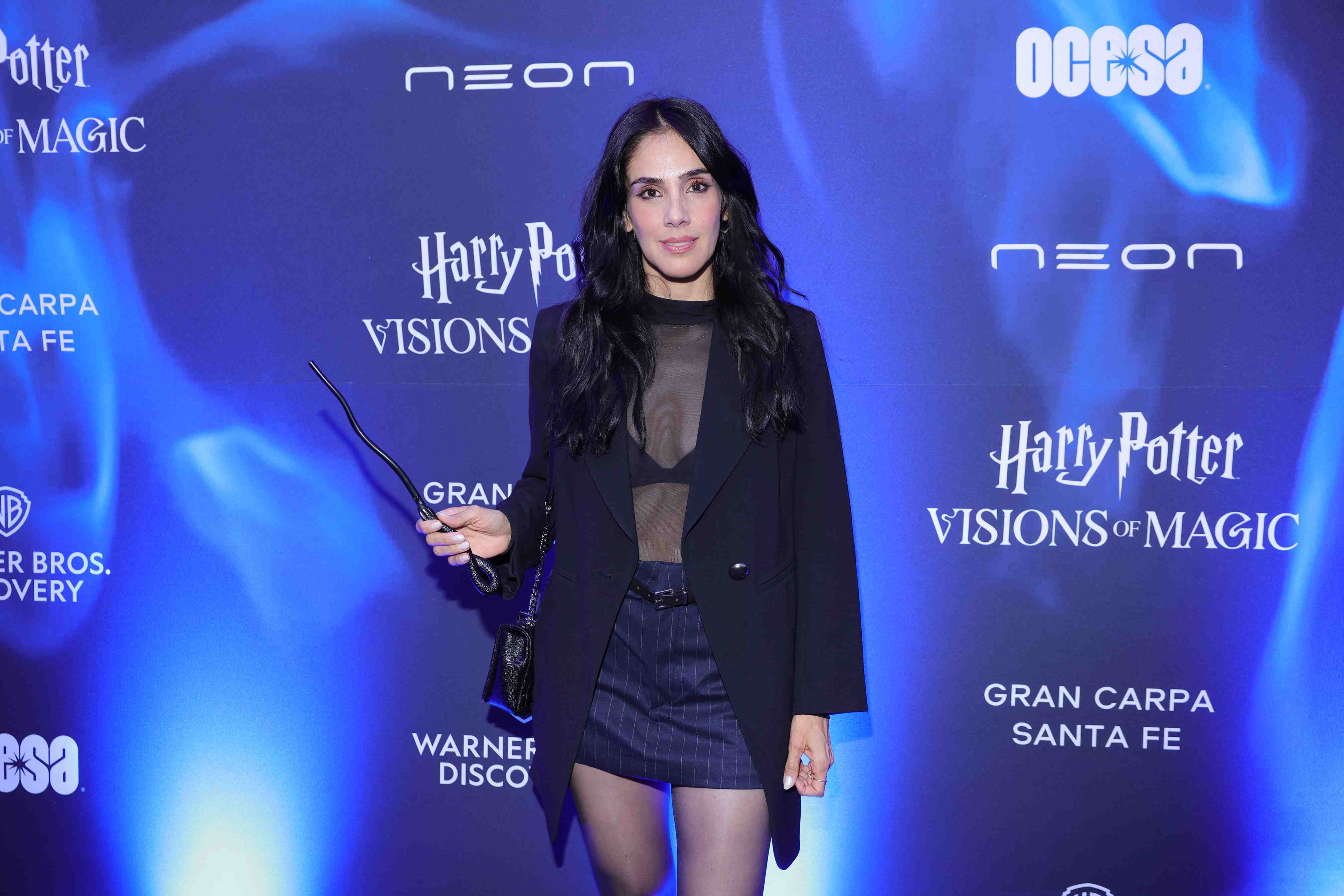 http://www.entrefam.com.mx/img/alfombra_verde_de_harry_potter_visions_of_magic/ENTREFAM190620254237.JPG